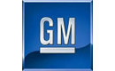 GM: General Motors logo