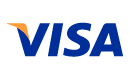 V: Visa logo